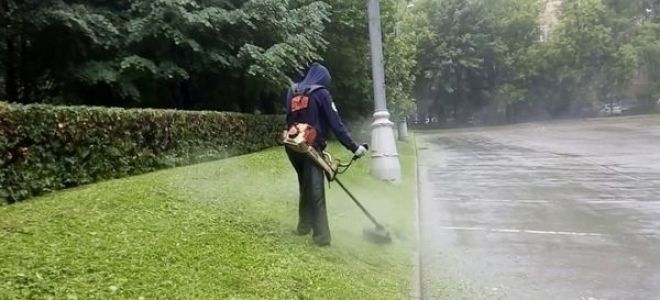 Как пользоваться триммером: применение, уход, смазка