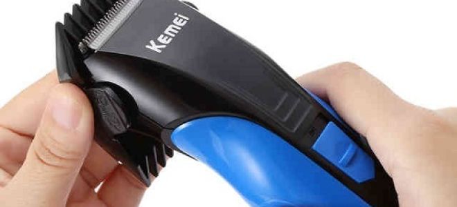 Как брить бороду триммером