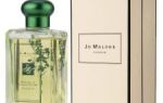 Все о цитрусовом мужском парфюме: обзор аромата