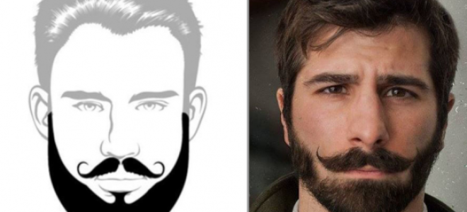 Аккуратная борода: виды (фото) и отращивание