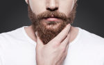 Суворовская борода: как сделать и ухаживать?
