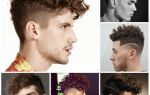 Мужские причёски для кудрявых волос: виды и фото