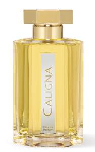 Все о цитрусовом мужском парфюме: обзор аромата