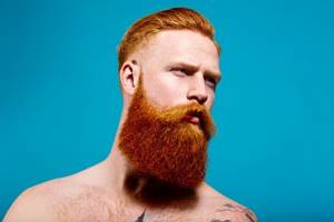 Цветные бороды: рыжие, трехцветные и другие