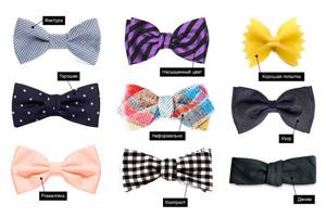 Все виды галстуков бабочек: от итальянского до чинаски