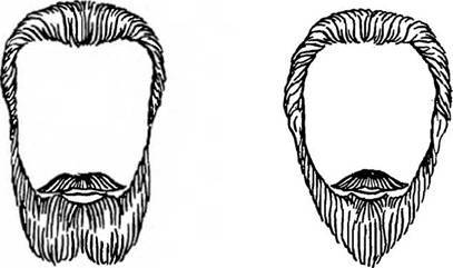 Оформление бороды: придание формы, стрижка, прическа