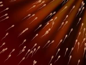 Как повысить активность сперматозоидов: все способы