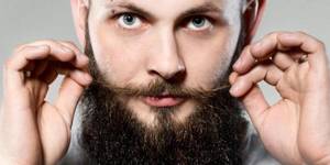 Стильные бороды для мужчин: фото