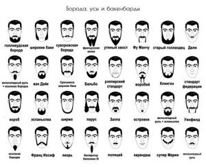 Профессиональные триммеры для бороды: как выбрать?