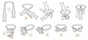 Как завязать галстук бабочку правильно: пошаговая инструкция с фото и видео
