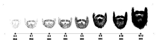 Стадии роста бороды: постепенный прогресс