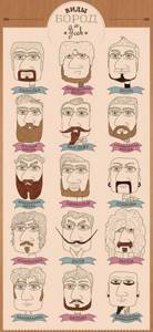Стиль лысый с бородой: виды бородок и фото