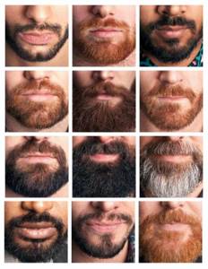 Зачем мужчине борода: польза и сила