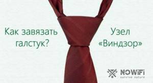 Как завязывать галстук Виндзор (Виндзорский узел)