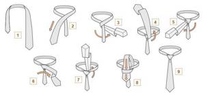 Как завязывать галстук Виндзор (Виндзорский узел)