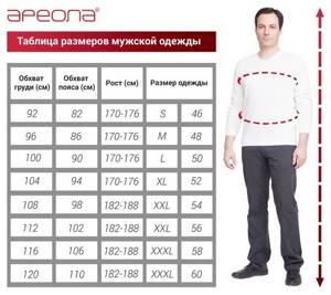 Как узнать размер мужских шорт: таблица размеров и советы
