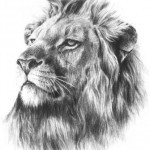 Тату знак зодиака лев для мужчин: лучшие эскизы (62 фото)