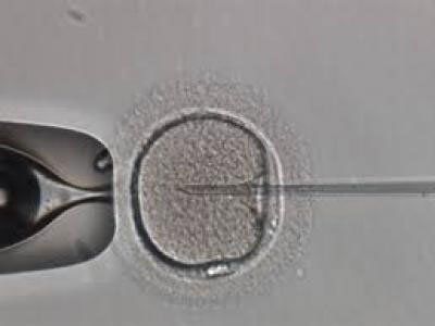 Как повысить активность сперматозоидов: все способы